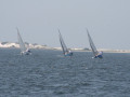 IMG 3989