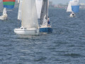 IMG 3996