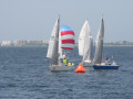 IMG 4006