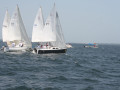 IMG 4129