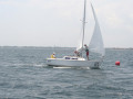IMG 4142