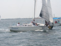 IMG 4160