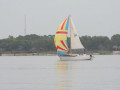 IMG 3444