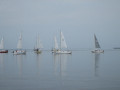 IMG 5055