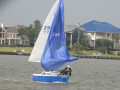 IMG 4422