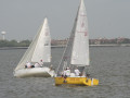 IMG 4435