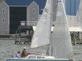 IMG 4459