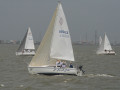 IMG 4478