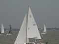 IMG 4479