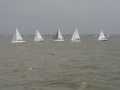IMG 4482