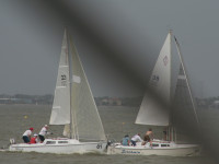 Racing Folder 2 - Gene Ferguson