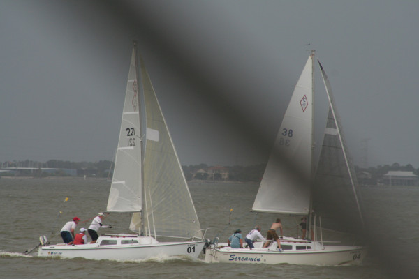 IMG 4501