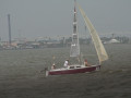 IMG 4507