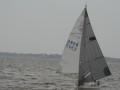 IMG 4517