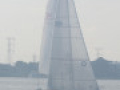 IMG 4523