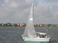 IMG 4528