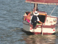 IMG 4531