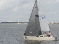 IMG 4540