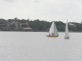 IMG 4571