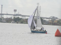 IMG 4584