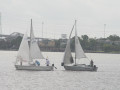 IMG 4588