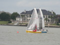 IMG 4602
