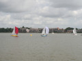 IMG 4606