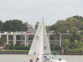 IMG 4608