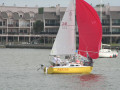 IMG 4613
