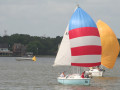 IMG 4622