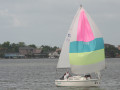 IMG 4626
