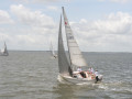 IMG 4638