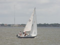 IMG 4657