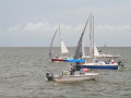 IMG 4680