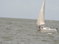 IMG 4687