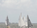 IMG 4690