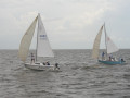 IMG 4692