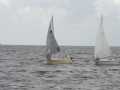 IMG 4695