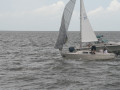 IMG 4698