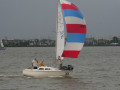 IMG 4705