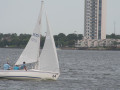 IMG 4710