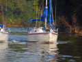 Chattahoochee Coup Too 032 1006