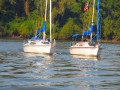 Chattahoochee Coup Too 033 1007