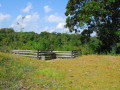 Chattahoochee Coup Too 089 1063