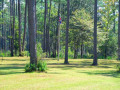 Chattahoochee Coup Too 091 1065