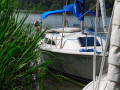Chattahoochee Coup Too 098 1072