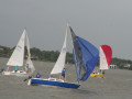 IMG 4750