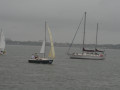 IMG 4814