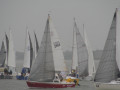 IMG 4816