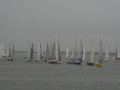 IMG 4821